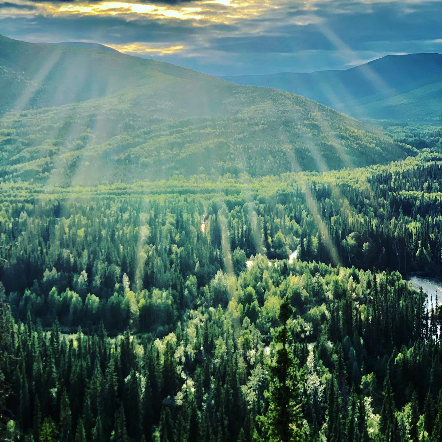 Avatar for Clayton & Hernandez Lawn Care Professionals LLC