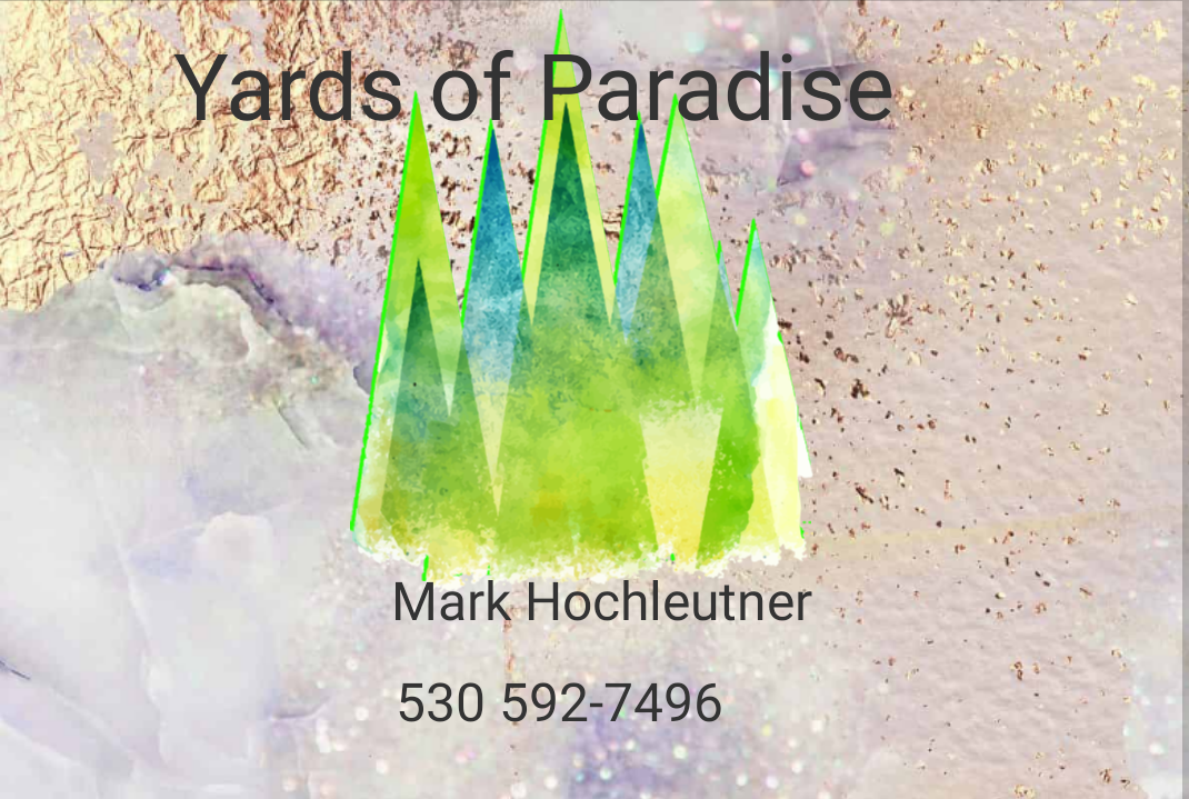 Avatar for Yards of Paradise