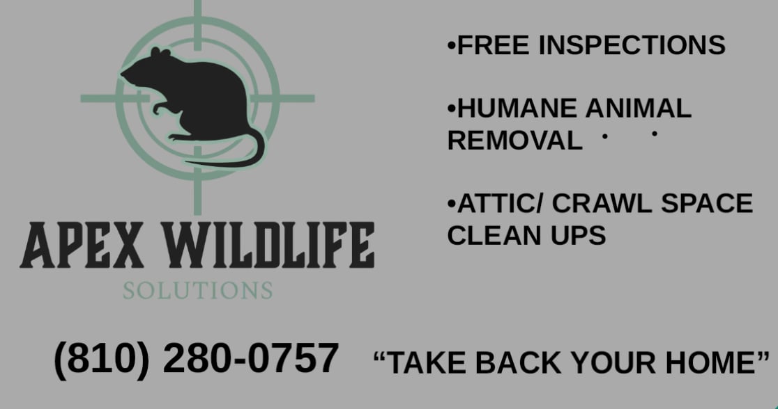 Avatar for Apex wildlife solutions