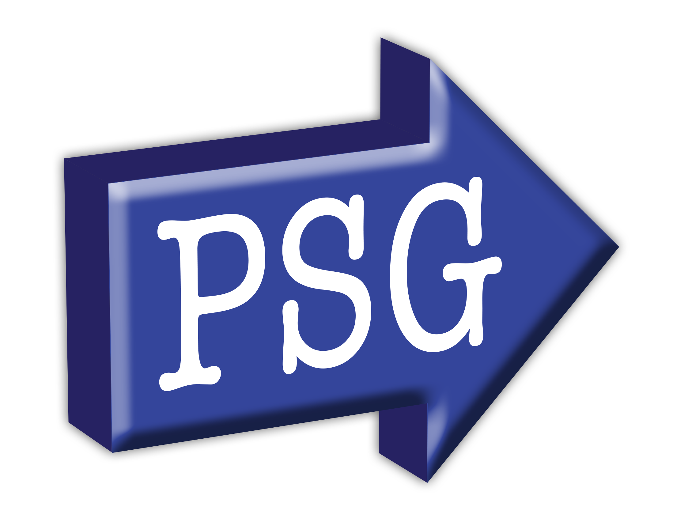 Professional Services Group, LLC logo