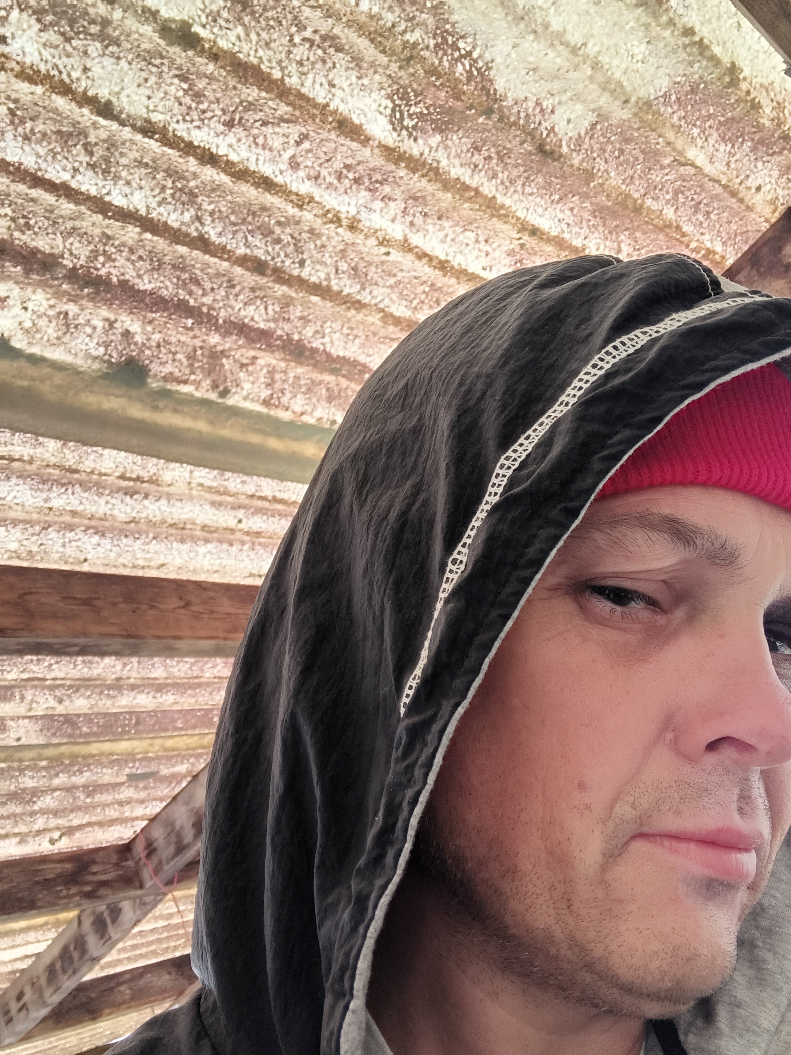 Avatar for Michael's painting and more