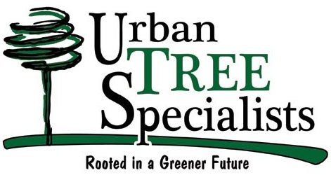 Avatar for Urban Tree Specialists LLC