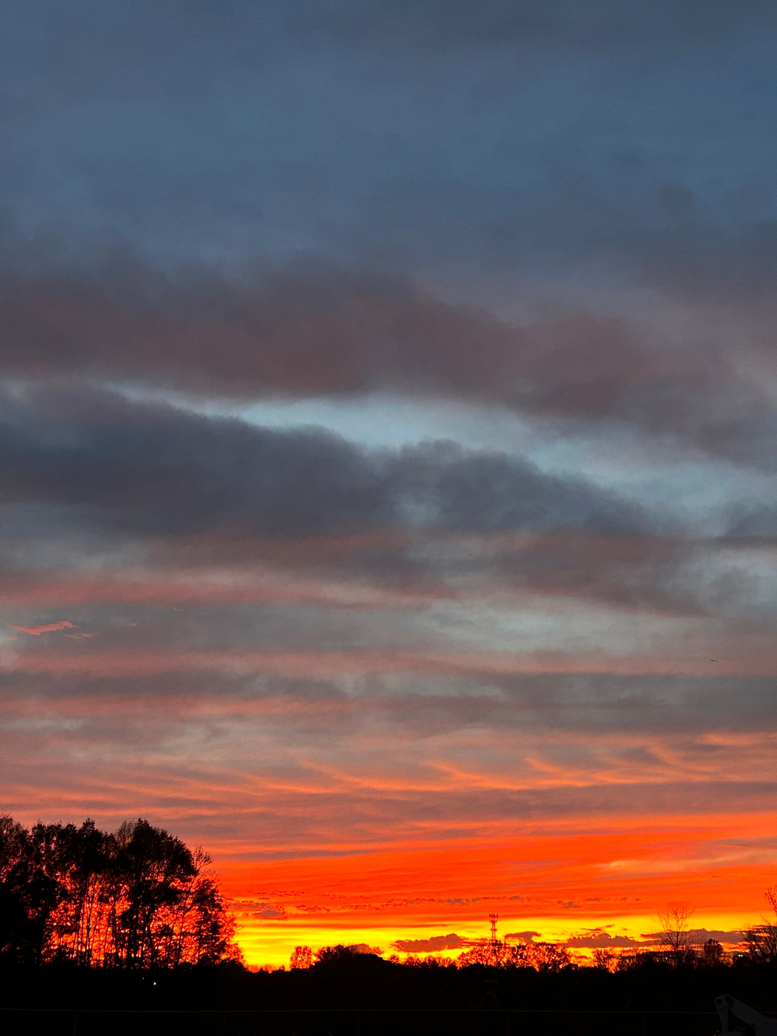 Avatar for OASIS IRRIGATION & LANDSCAPE DESIGN