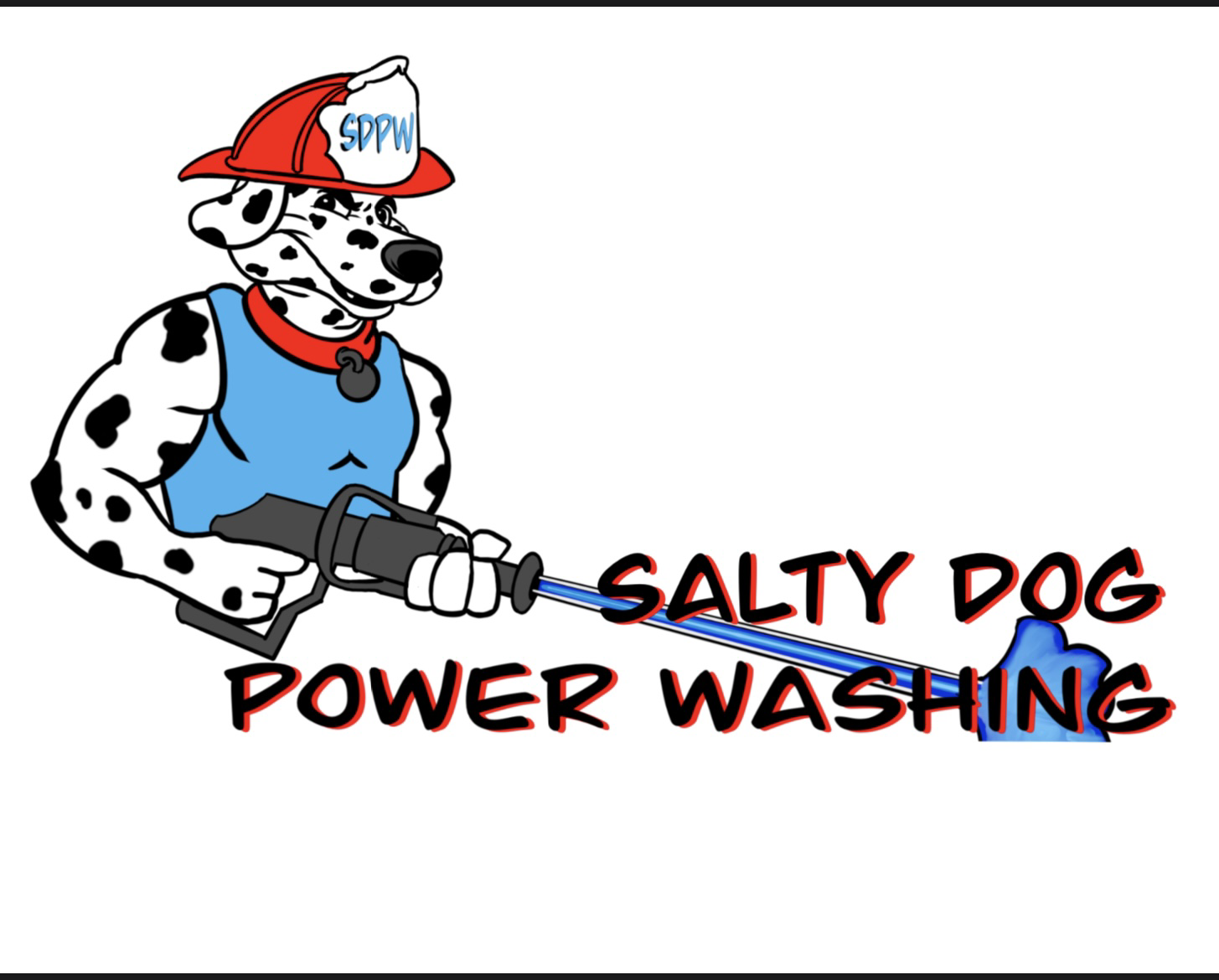 Avatar for Salty Dog Power Washing