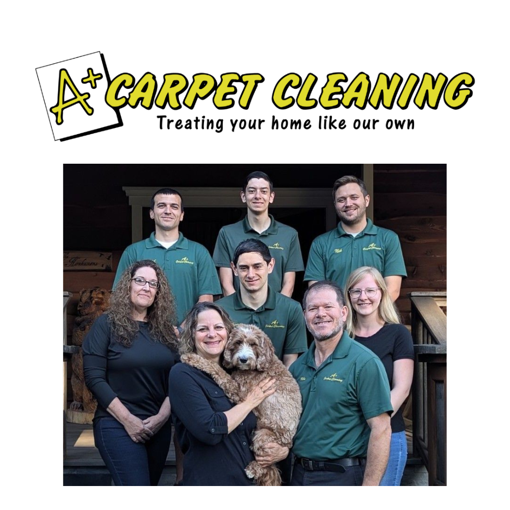 A+ Carpet Cleaning logo