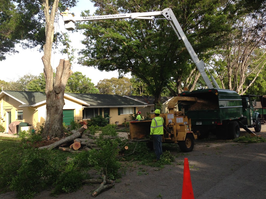 Bucket Truck Work