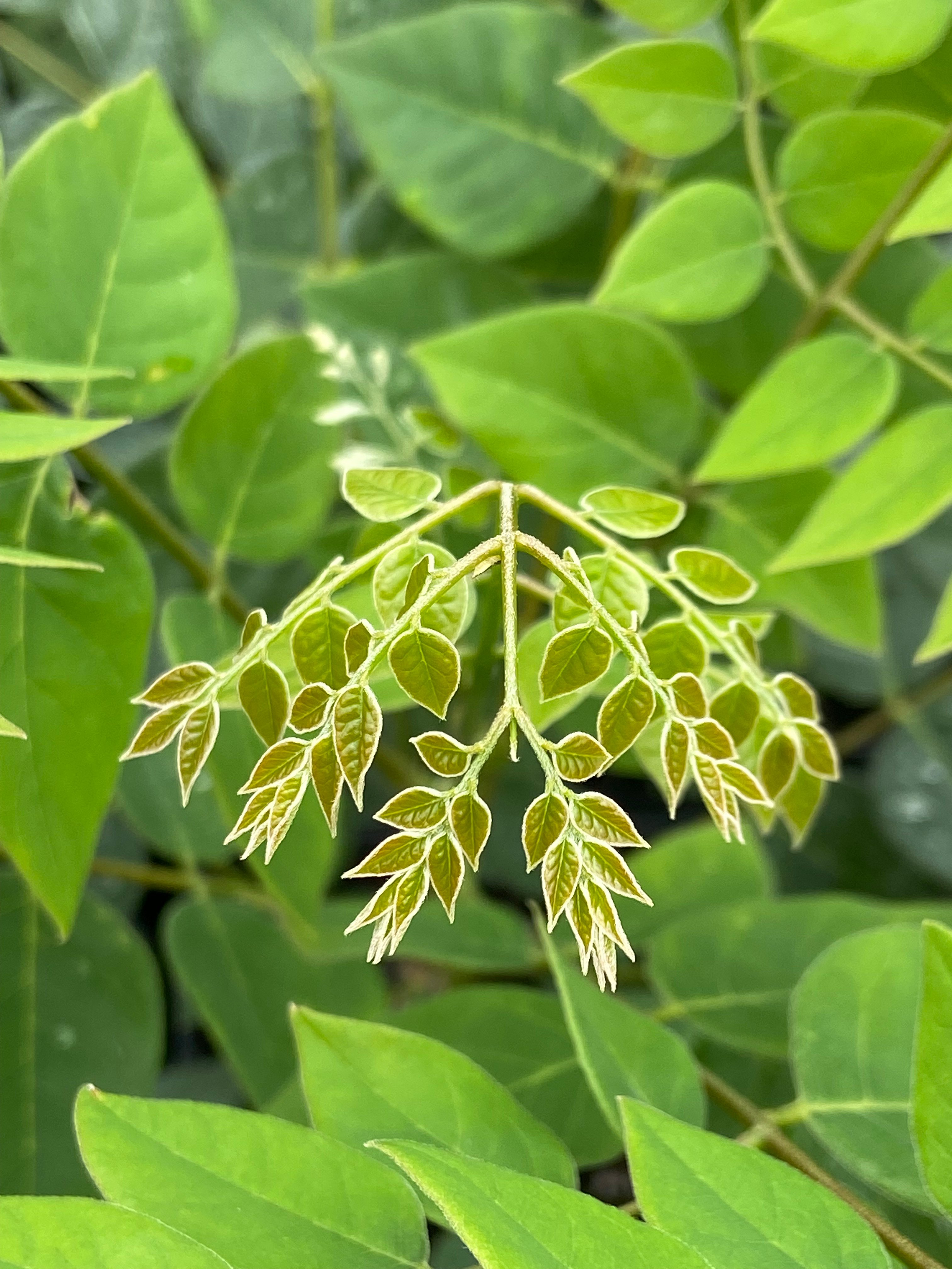 Avatar for Beyond the Pines Outdoor Services