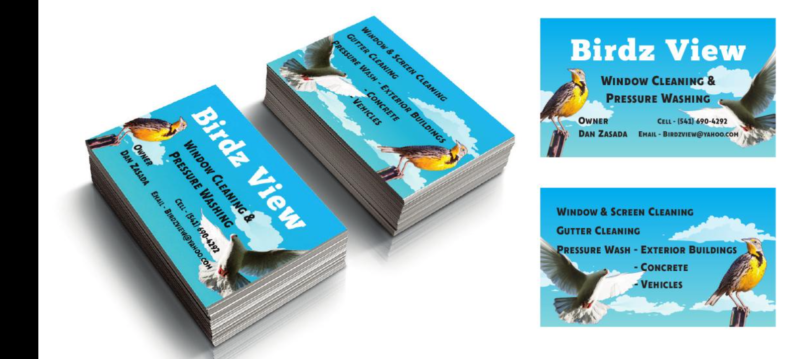 Avatar for Birdz View