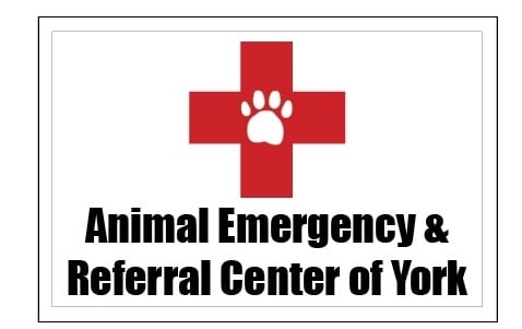 Logo for Animal Emergency & Referral Center of York