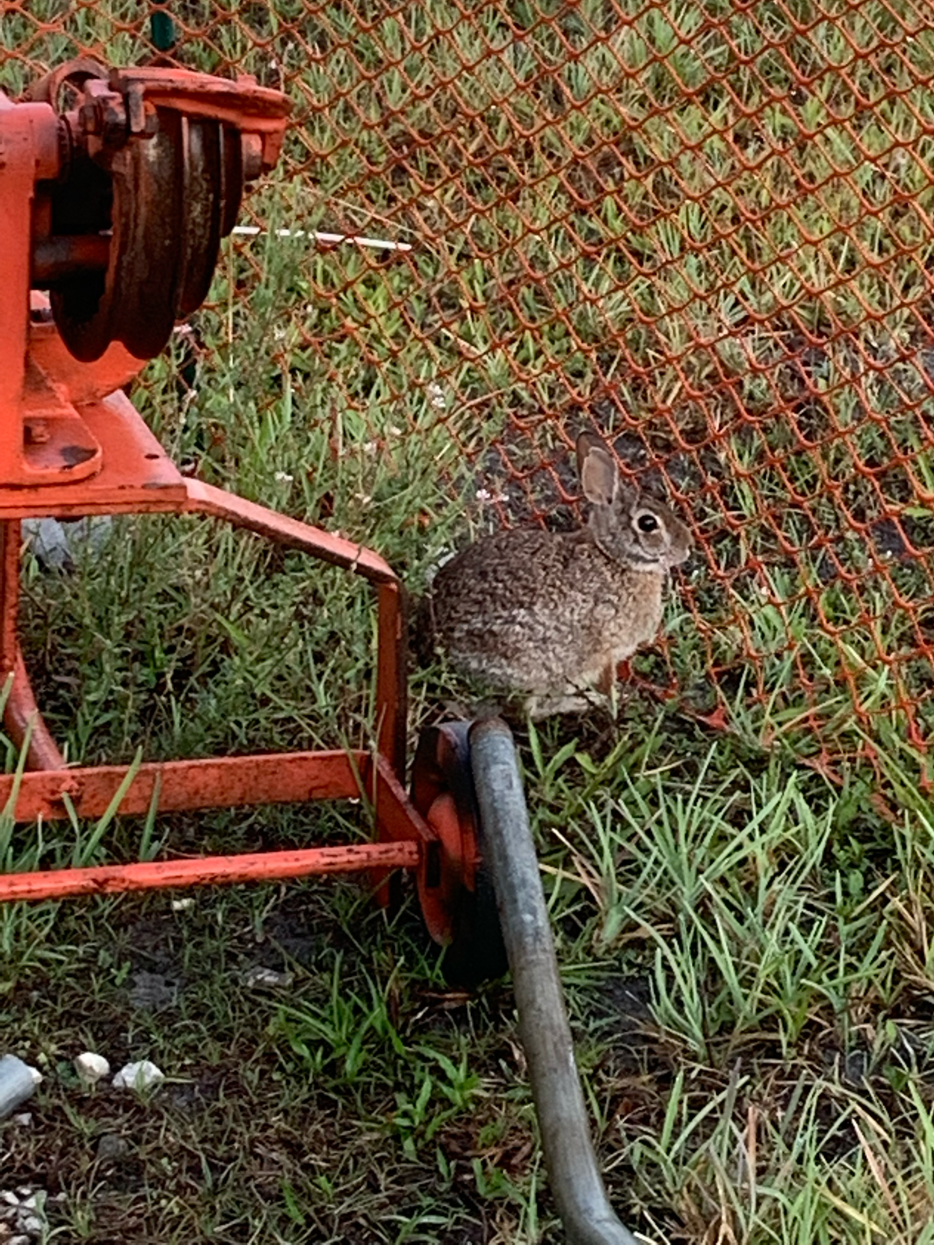 Avatar for Steve electric 