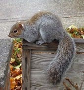 Avatar for ADVENTURE WILDLIFE SVC