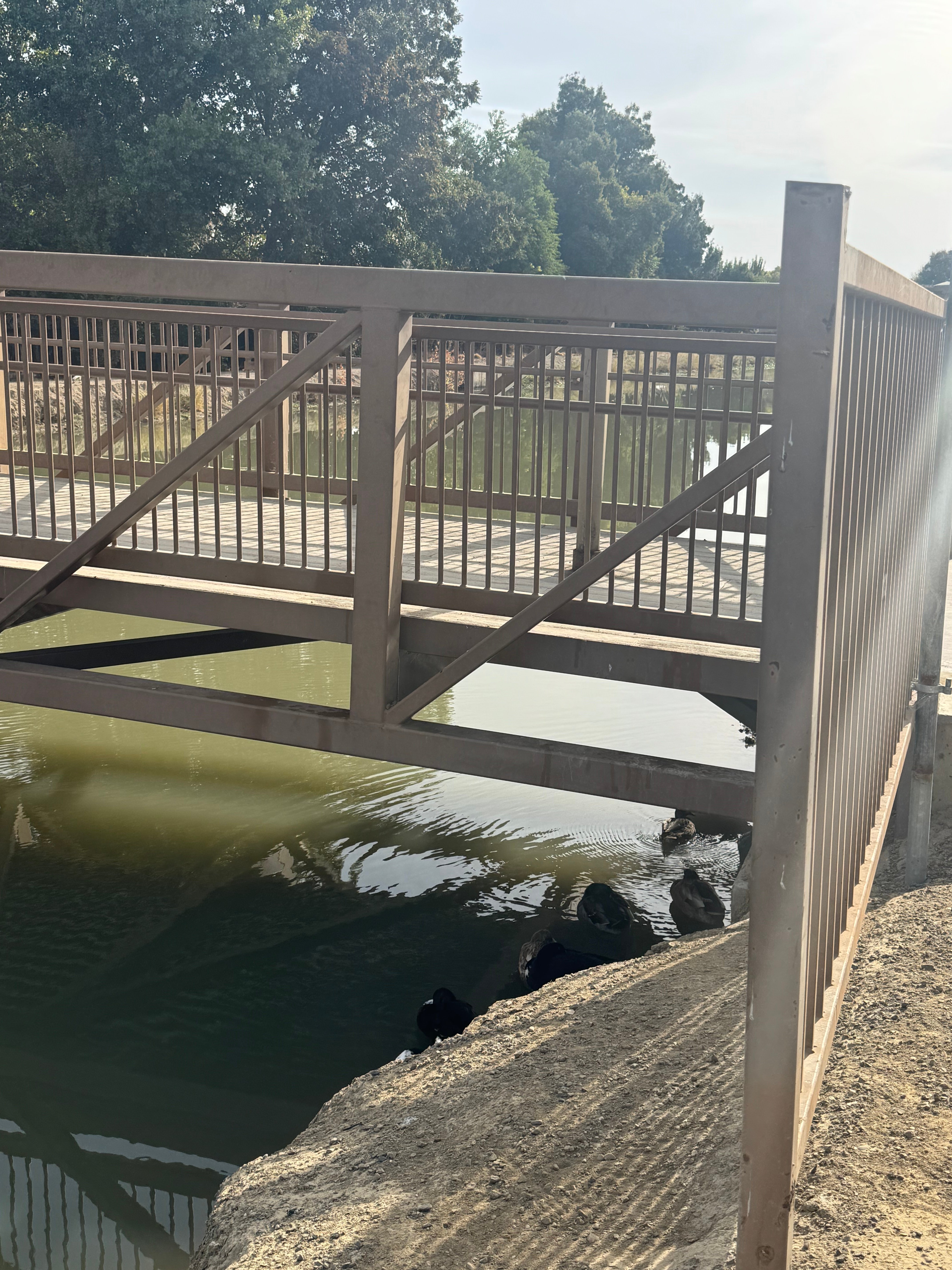 Avatar for imfact services