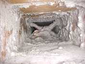 Before Mite-E-Ducts