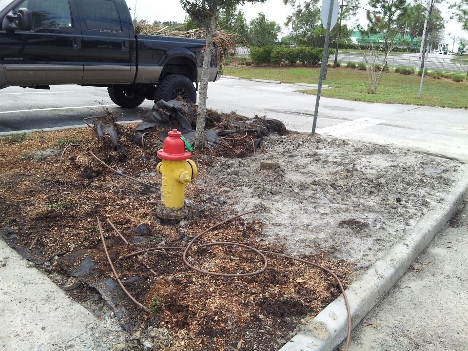 Legacy Lawn Care Reviews Lutz, FL Angi