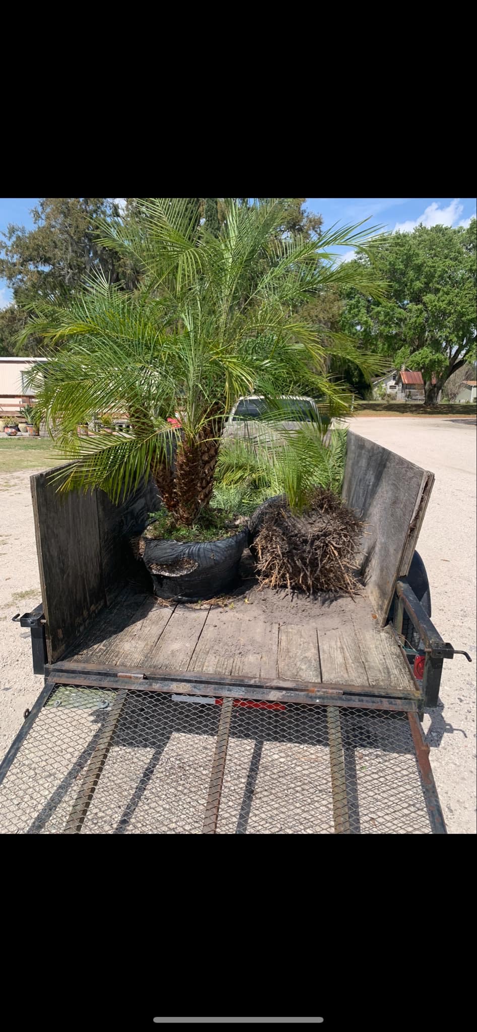 Avatar for Good junk