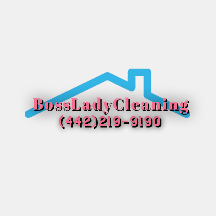 Avatar for Boss Lady Cleaners
