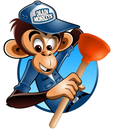 Avatar for Drain Monkeys