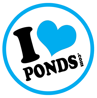 Logo for New England Aquatic Landscaping