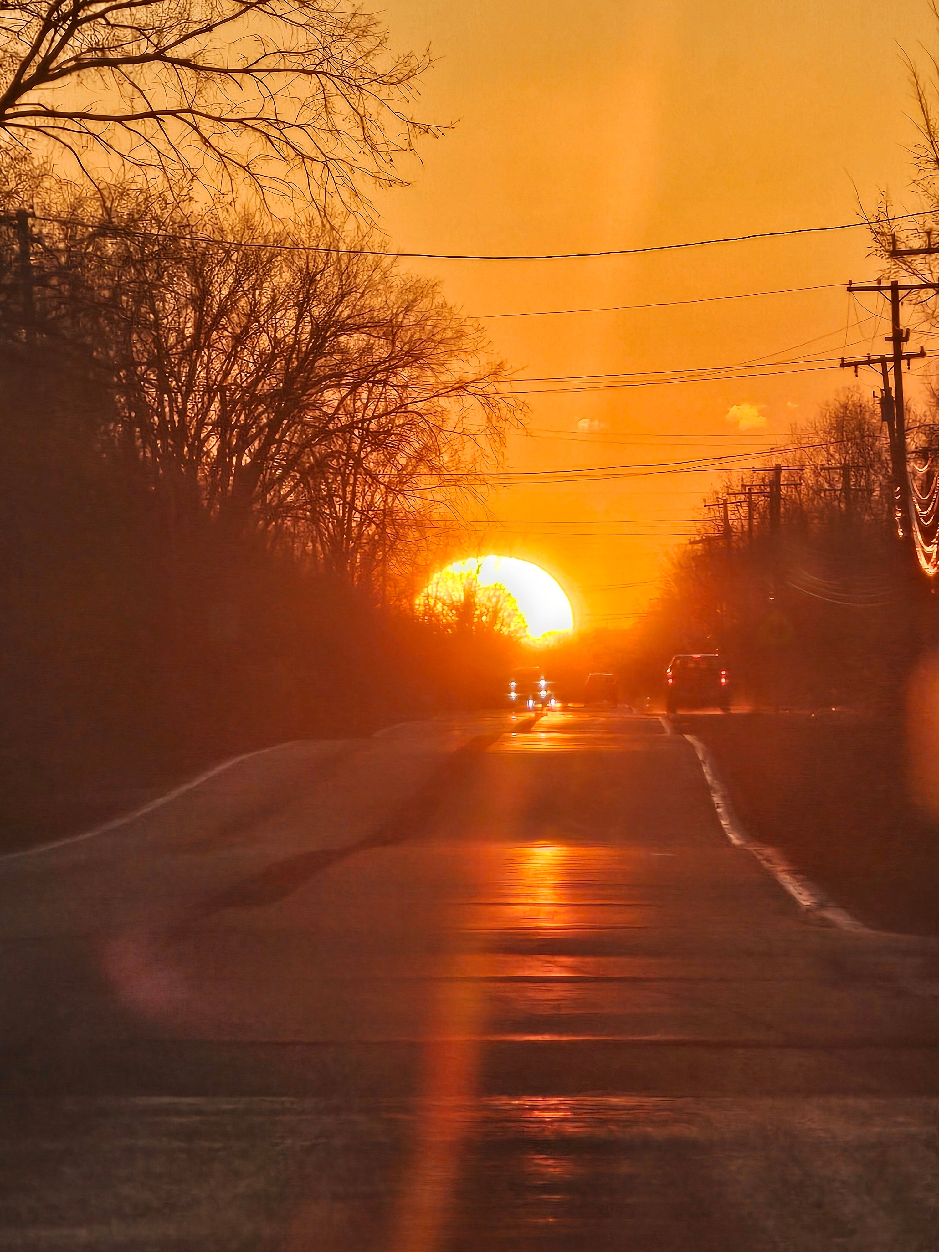 Avatar for 4 harms freight 