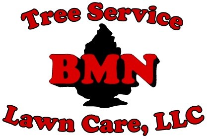 BMN Tree Service and Landscaping LLC logo