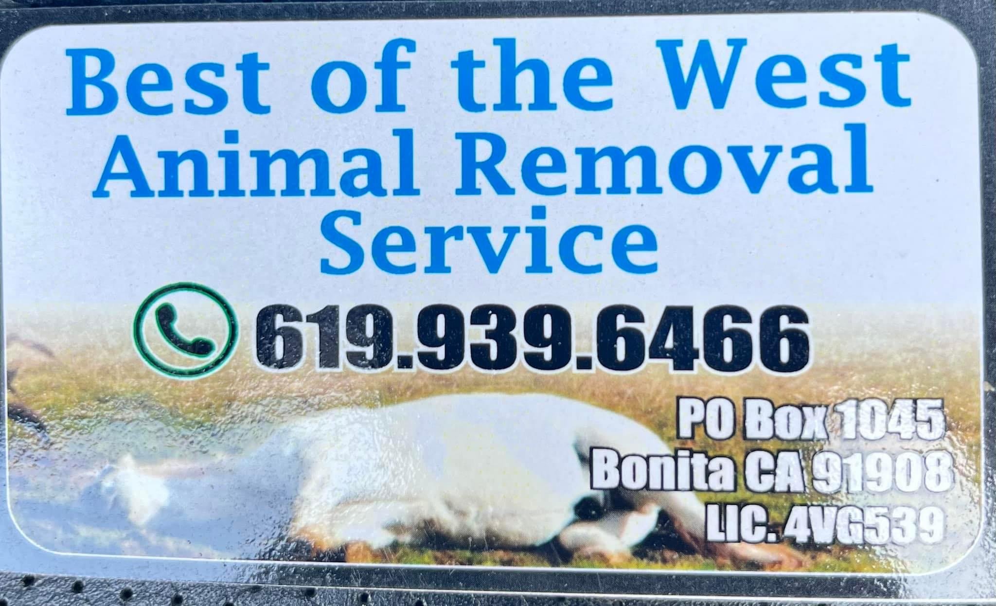 Avatar for Best Of The West Animal Removal 