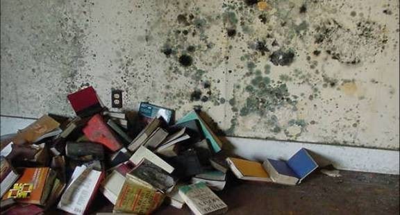 Mold Damage