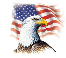 Roadeagle Construction Company LLC logo