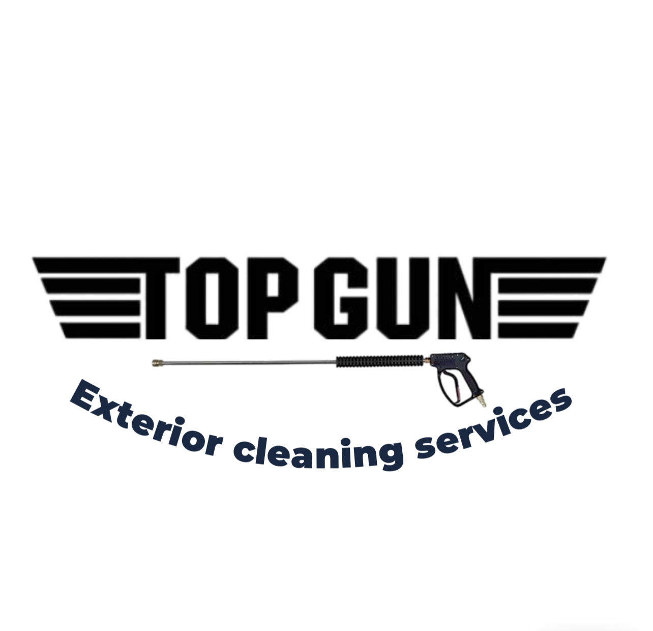 Avatar for Top Gun Exterior Cleaning Services