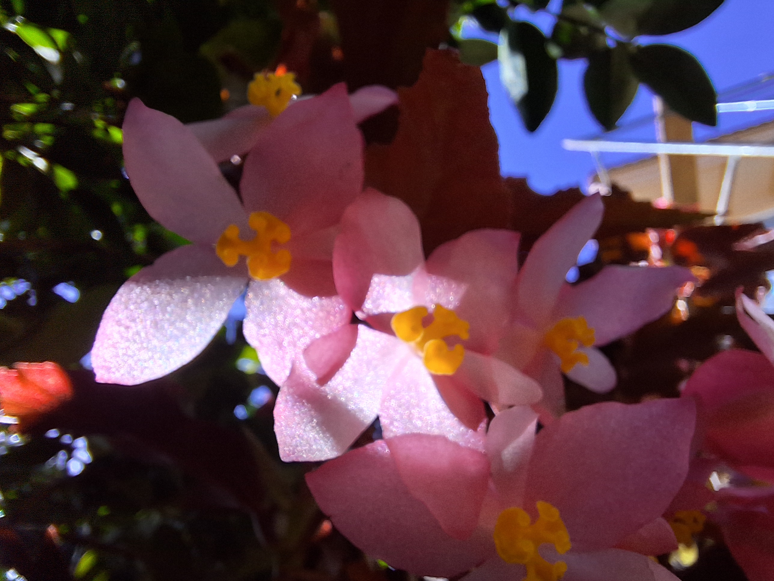 Avatar for RAYK Handyman