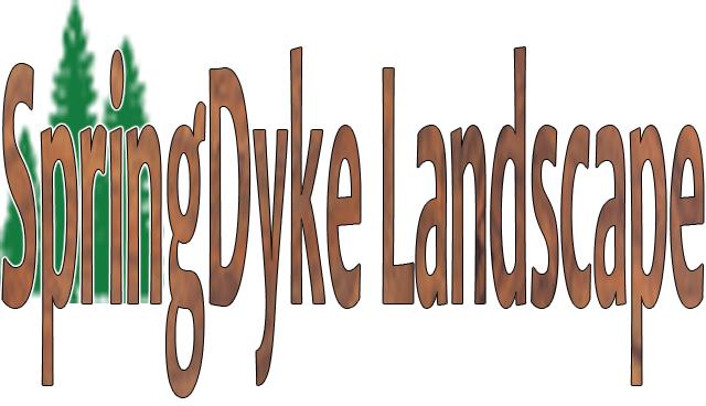 Avatar for springdyke landscape