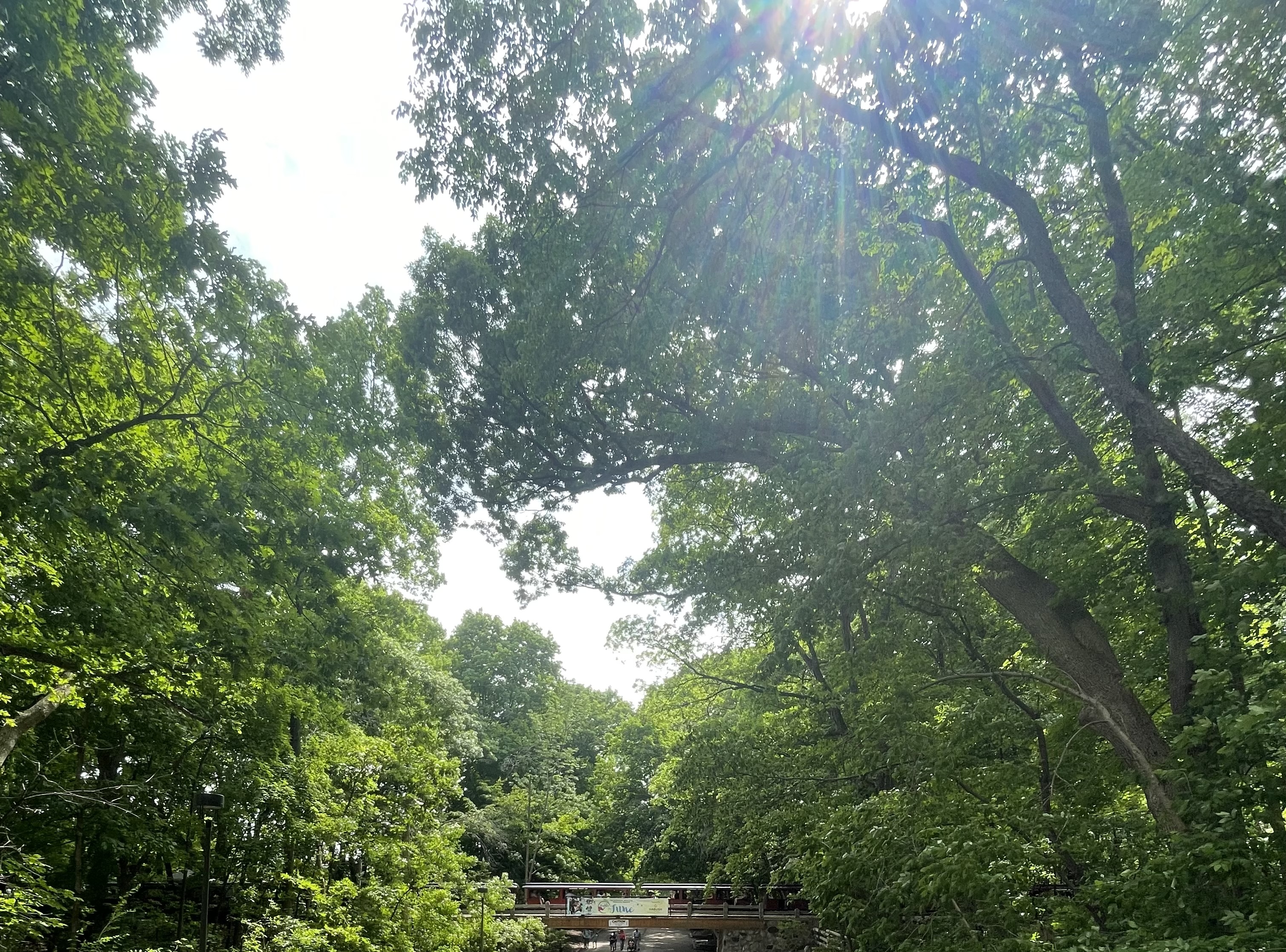 Avatar for JBs Gutter Cleaning