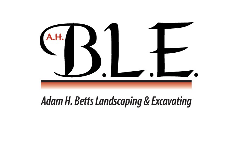 B.L.E Inc logo