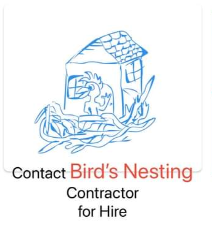 Avatar for Bird's Nesting
