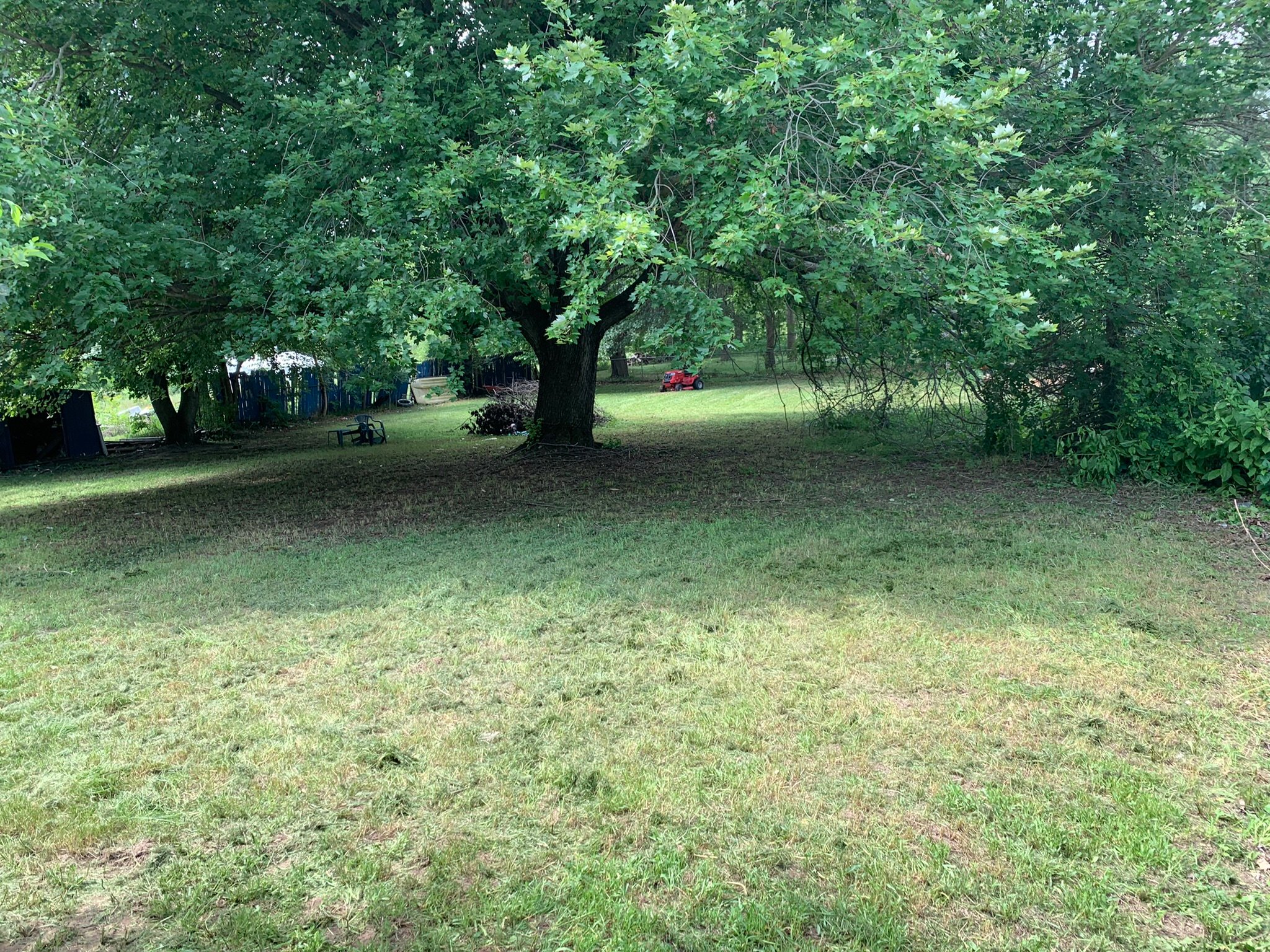 Avatar for Elijah Griesinger