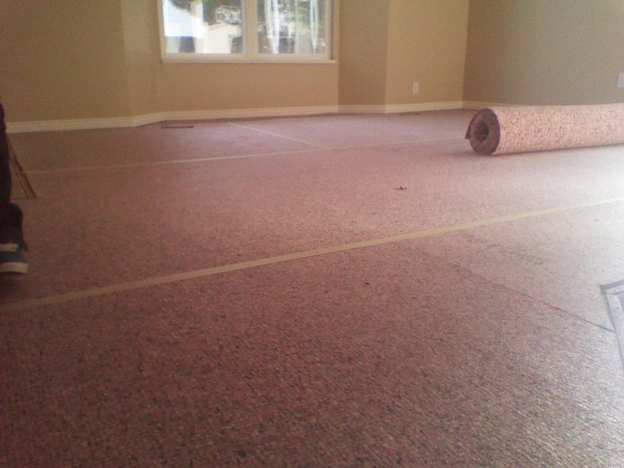Avatar for Doctor Carpet