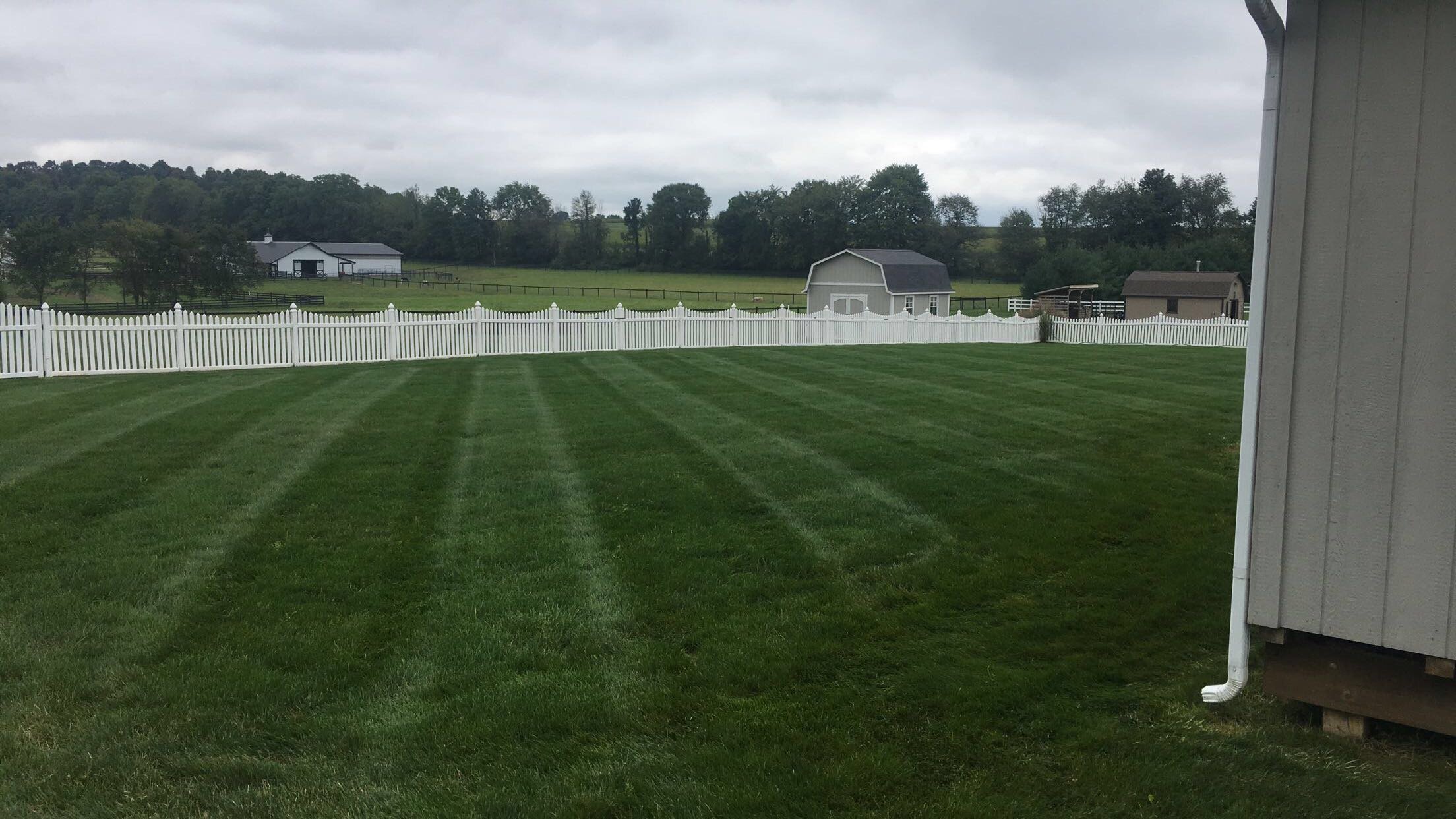 Avatar for Schief’s Lawn Care & Landscaping 