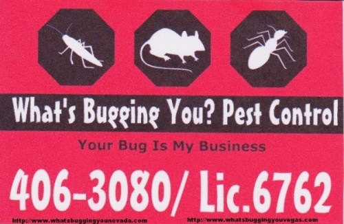 Avatar for What's Bugging You? Pest Control