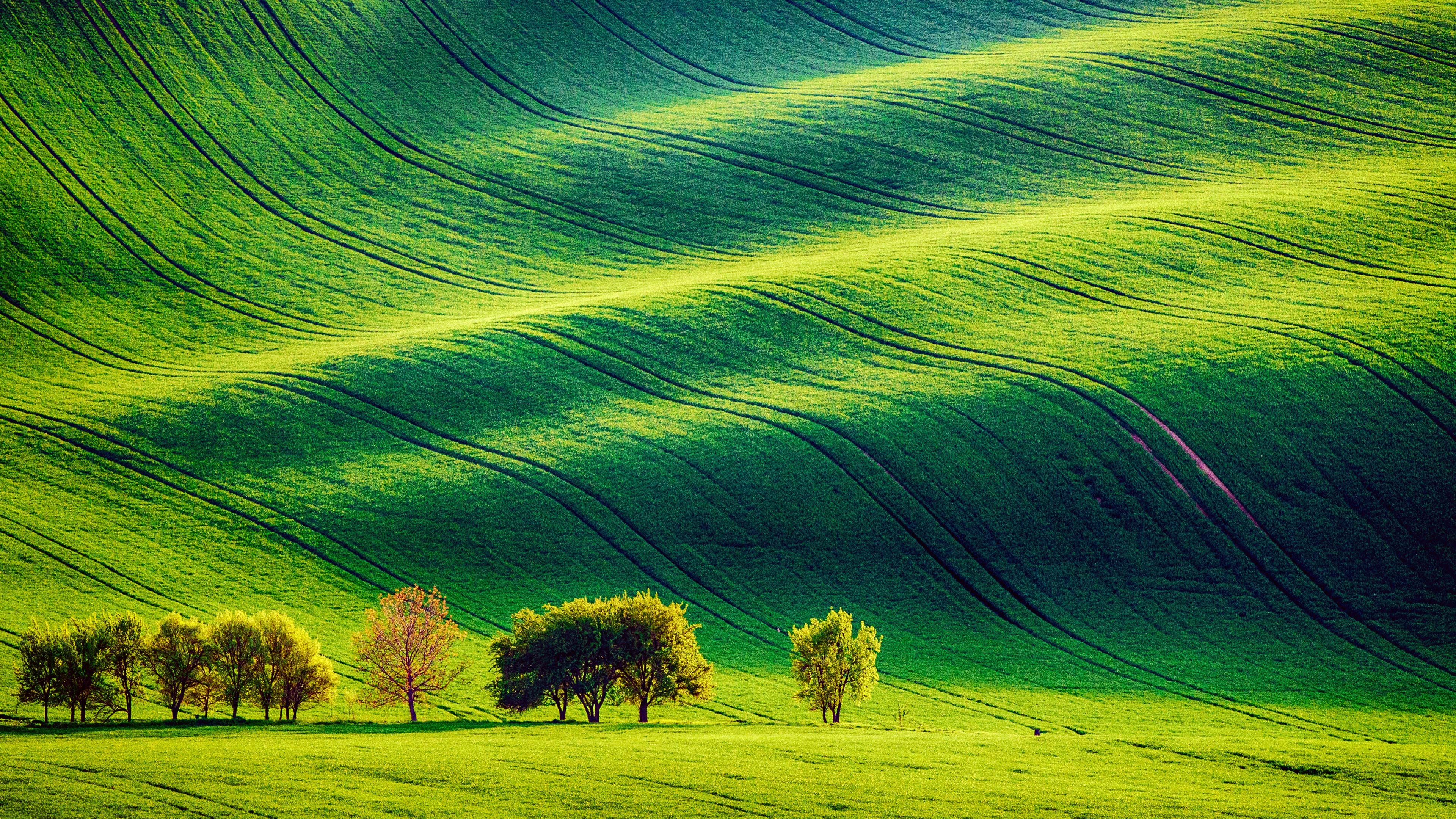 Avatar for brandon metal work