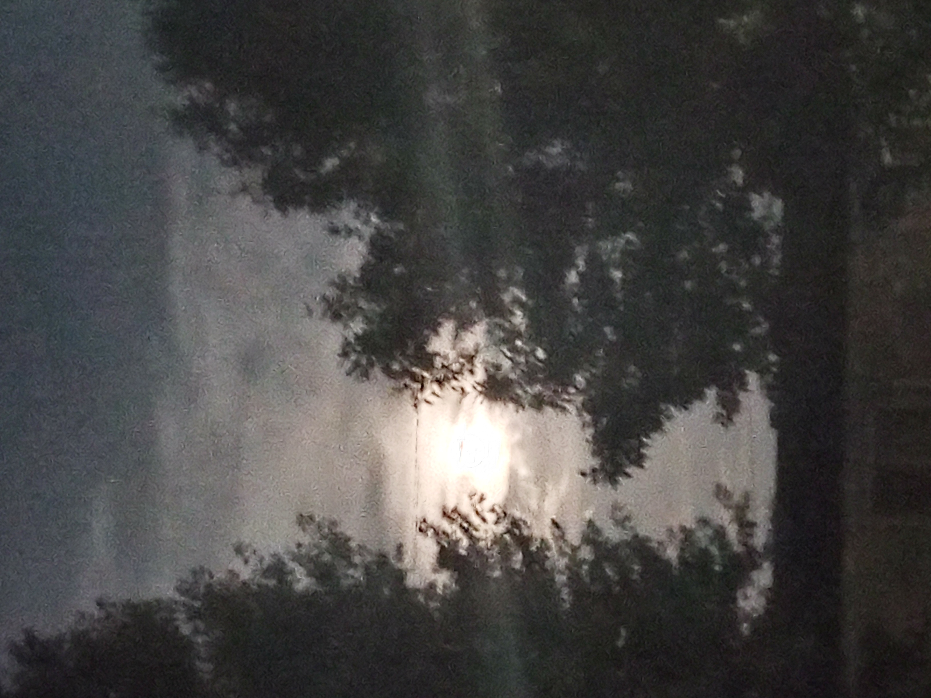 Avatar for Tre Dobbins