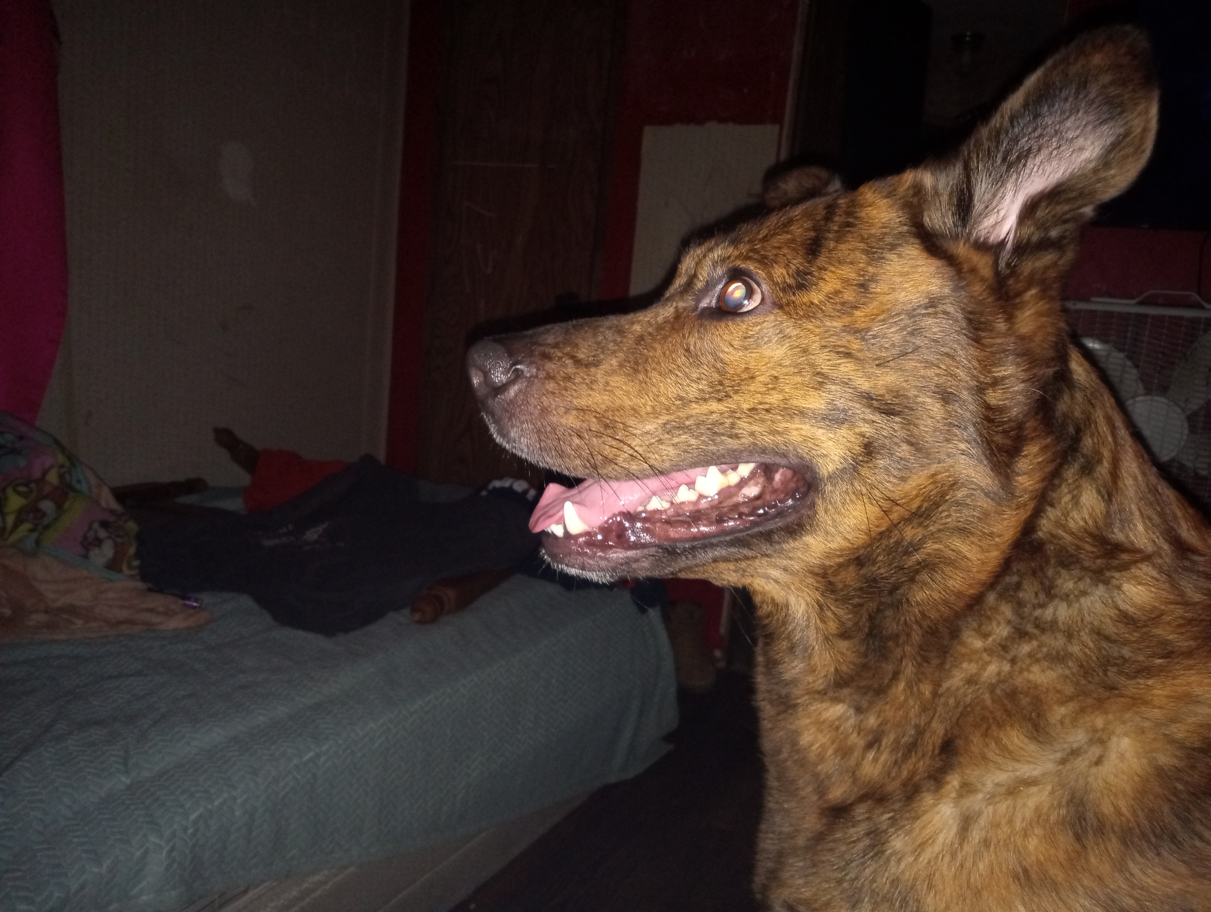 Avatar for WRC remodeling