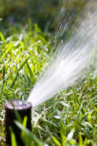 Avatar for J & M Landscapes