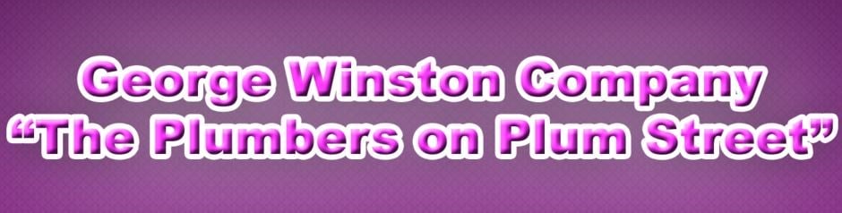 Logo for George Winston Co.