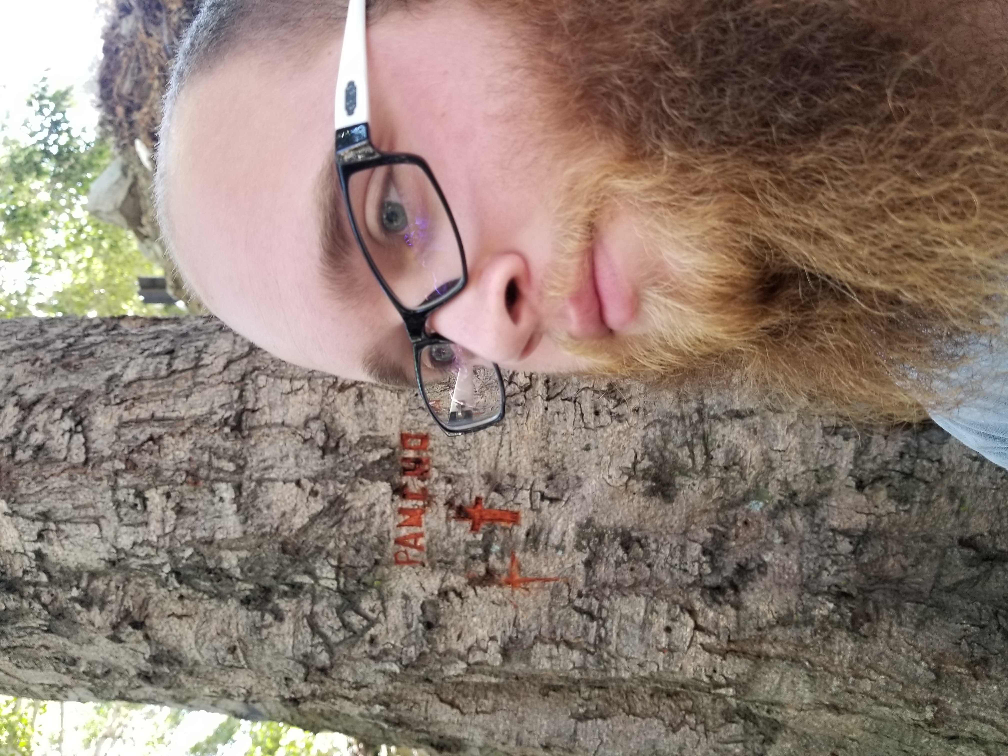 Avatar for Damon handy services