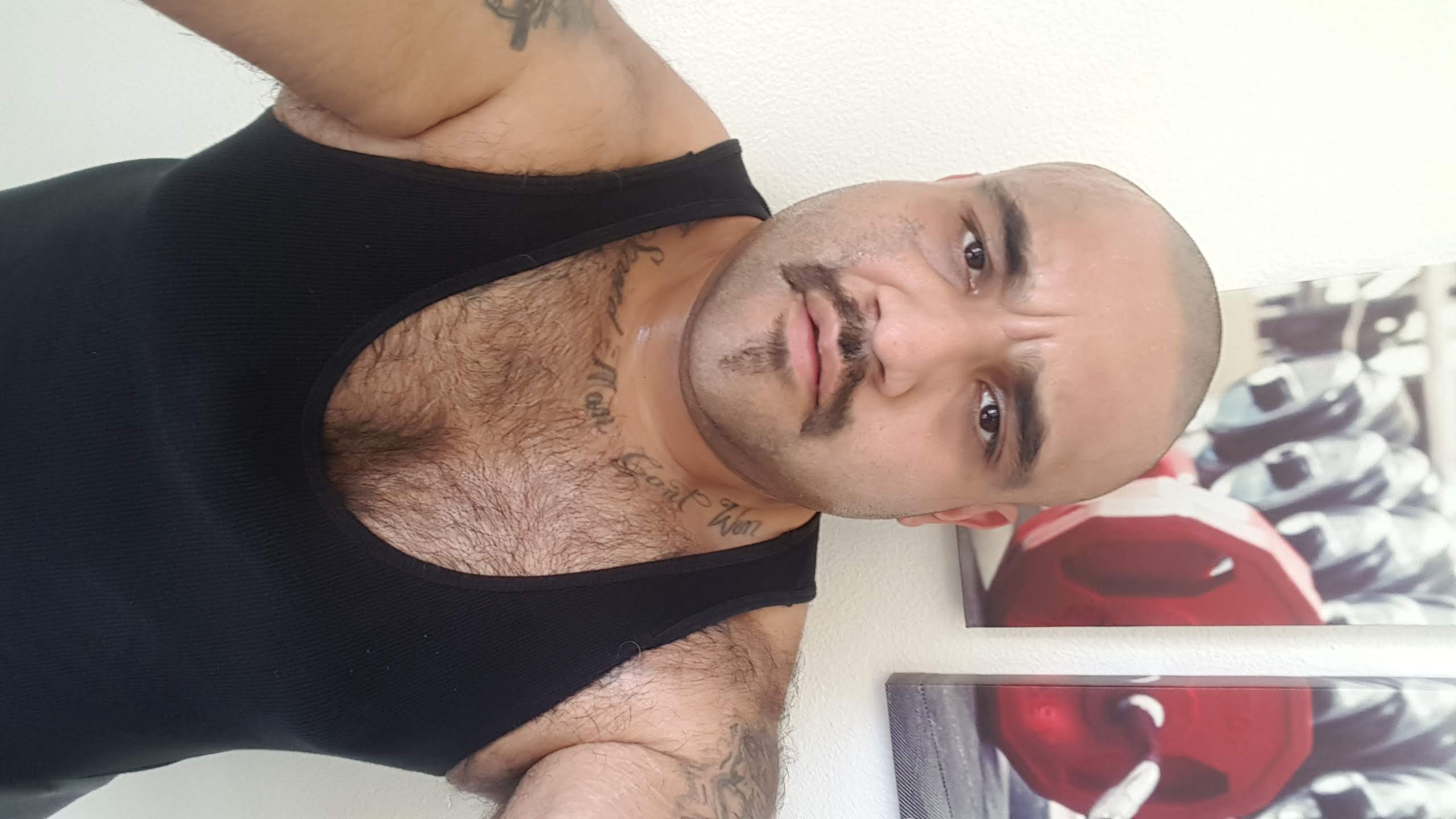 Avatar for Rodolfo Zuniga 