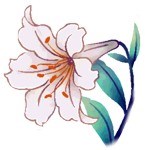 Yuri Cleaning Services LLC logo