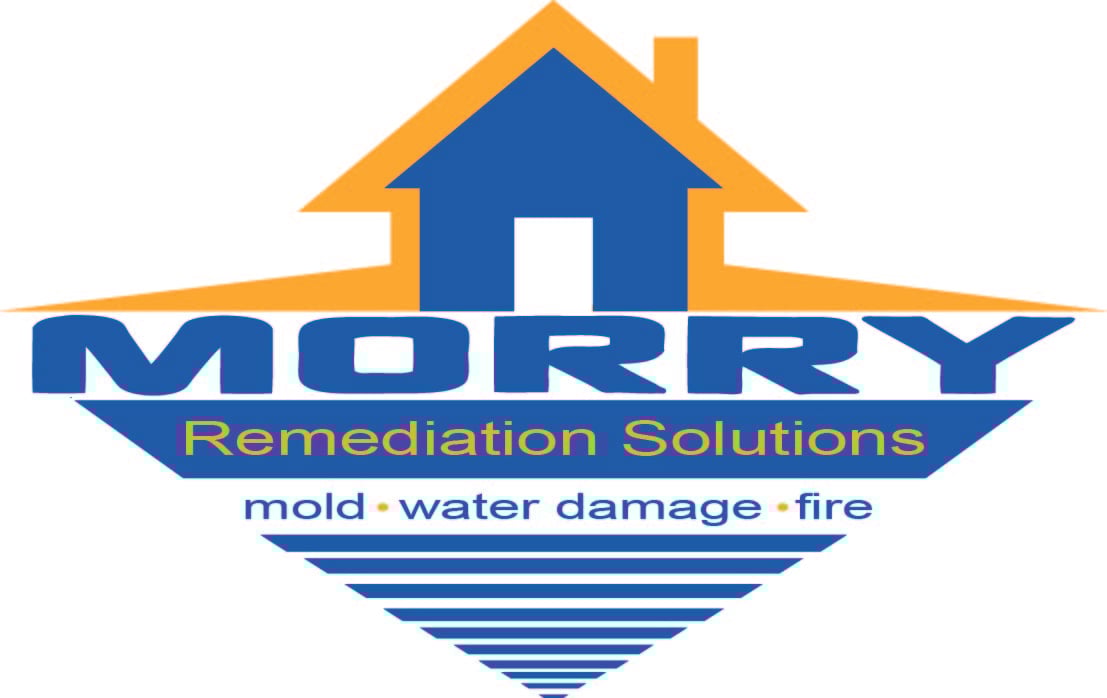 Avatar for Morry Remediation of Plant City
