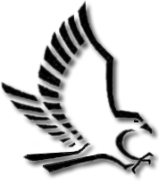 Logo for Falcon Property Solutions