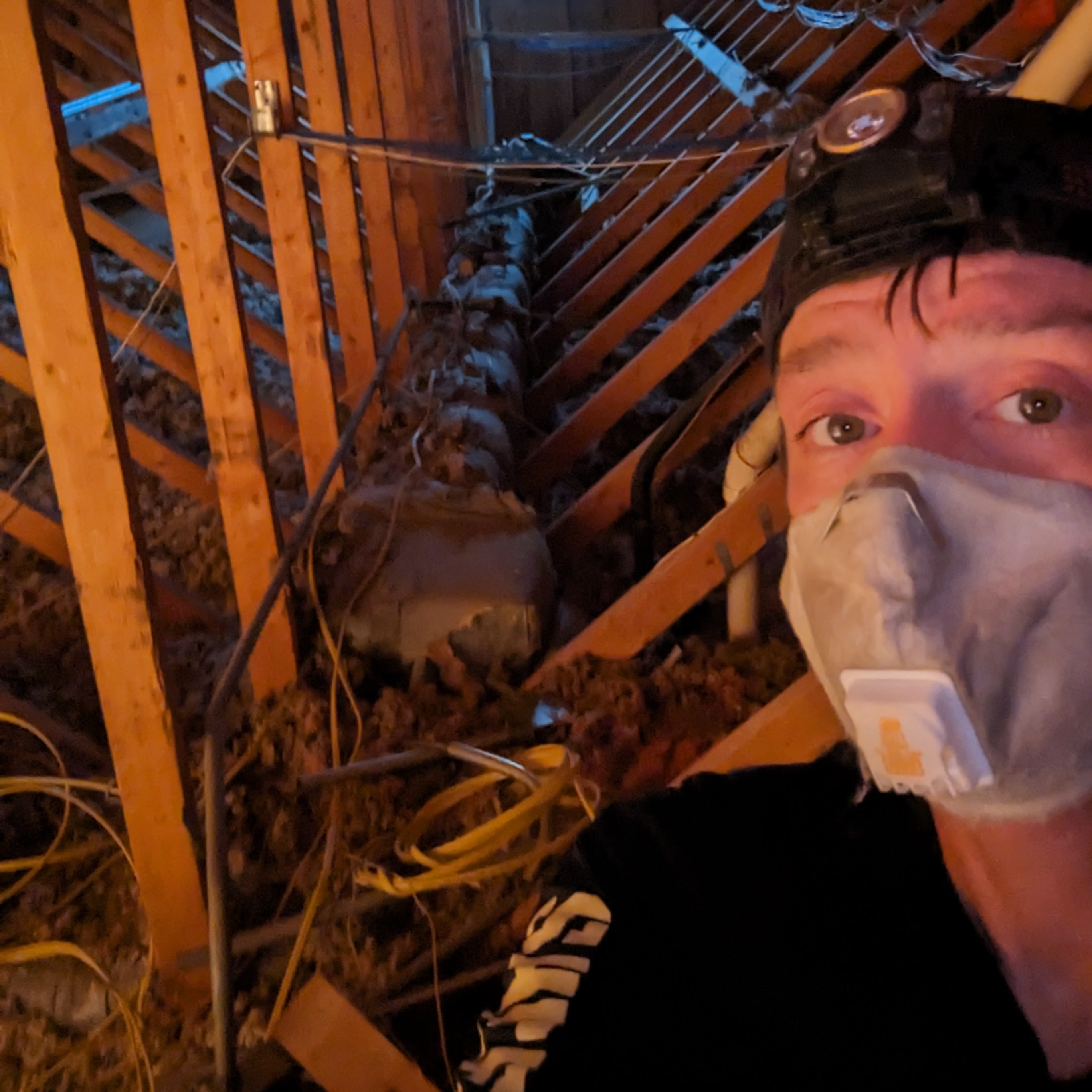 Avatar for O' Danny Boys