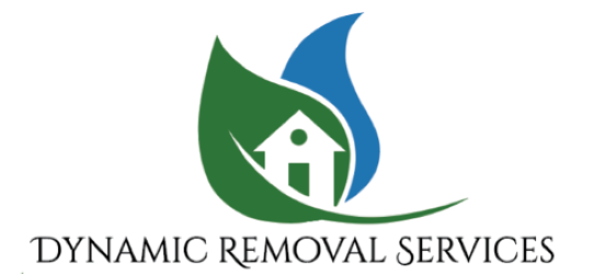 Avatar for Dynamic Removal Services