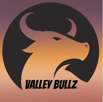 Avatar for Valley Bullz